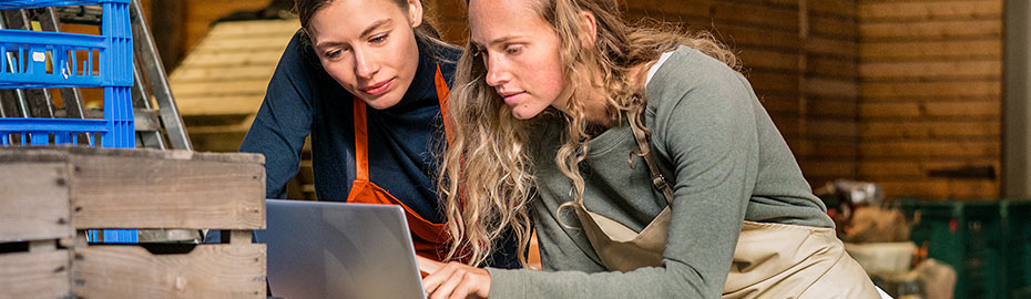 Online Banking Firmenkunden Volksbank Geest Eg